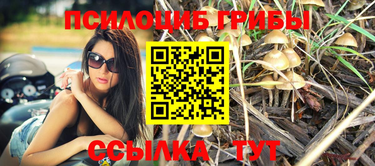 Псилоцибиновые грибы GOLDEN TEACHER Воронеж